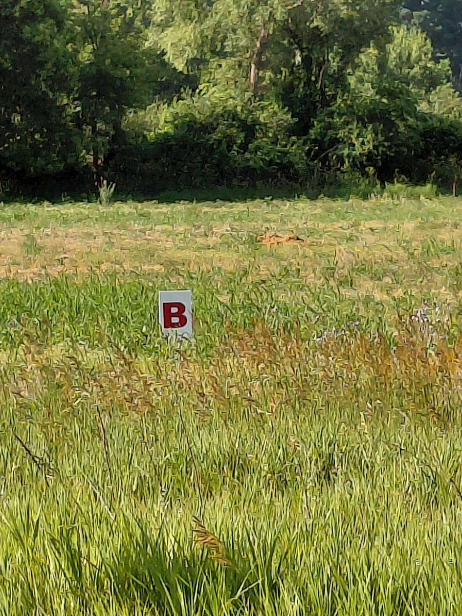 1.32 Acres of Residential Land for Sale in Jackson, Michigan