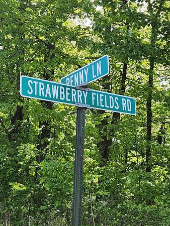0.41 Acres of Residential Land for Sale in New Buffalo, Michigan