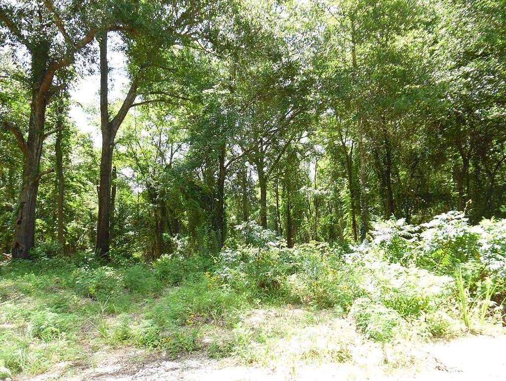 13 Acres of Land for Sale in Canton, Texas