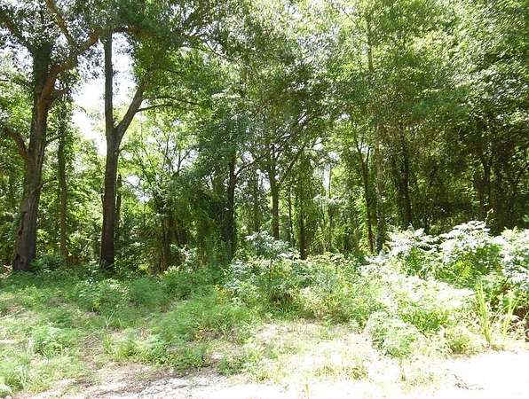 13 Acres of Land for Sale in Canton, Texas