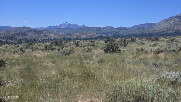 5 Acres of Residential Land for Sale in Markleeville, California
