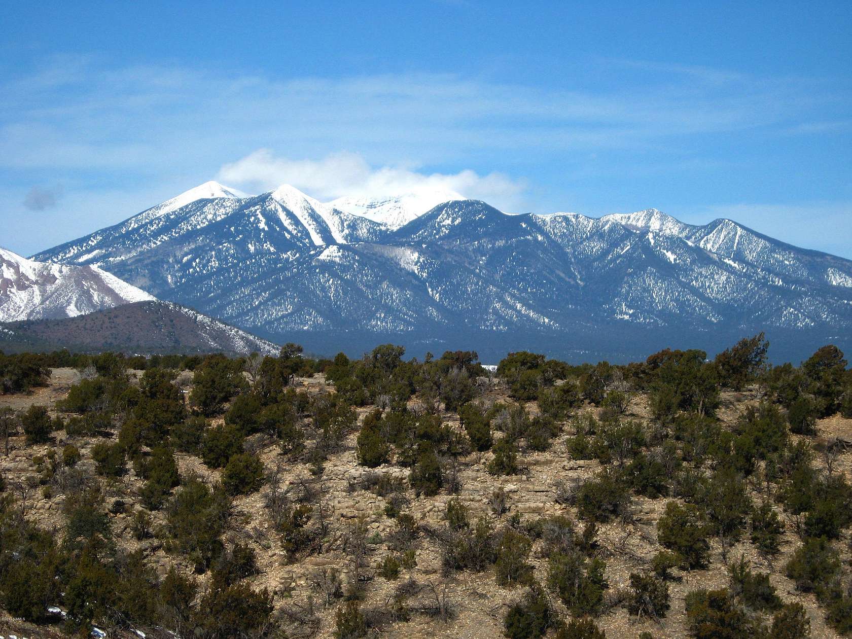 55 Acres of Recreational & Residential Land for Sale in Flagstaff, Arizona