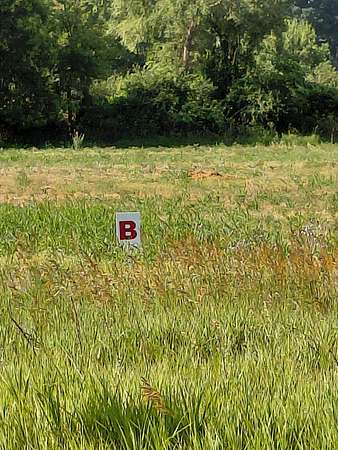 6.42 Acres of Residential Land for Sale in Jackson, Michigan