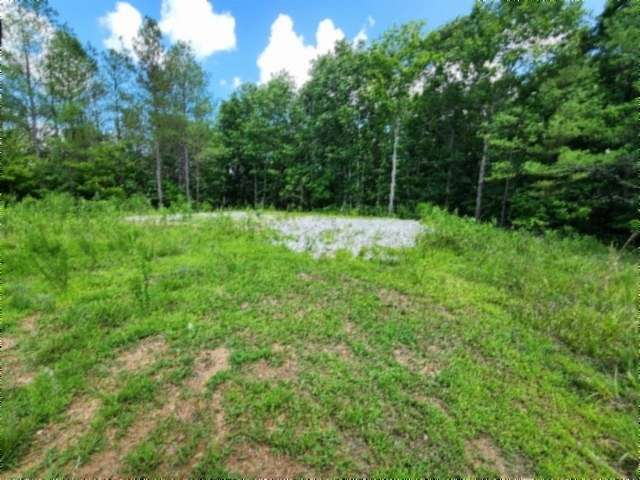 15.4 Acres of Recreational & Residential Land for Sale in Sunbright, Tennessee