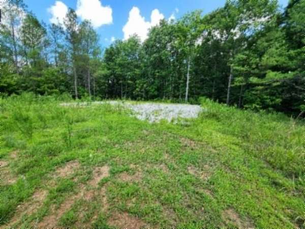 15.4 Acres of Land for Sale in Sunbright, Tennessee