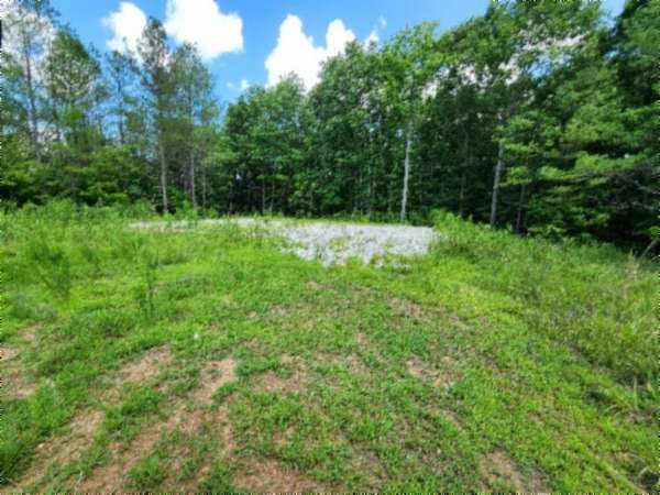 15.4 Acres of Recreational & Residential Land for Sale in Sunbright, Tennessee