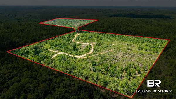 78 Acres of Land for Sale in Bay Minette, Alabama