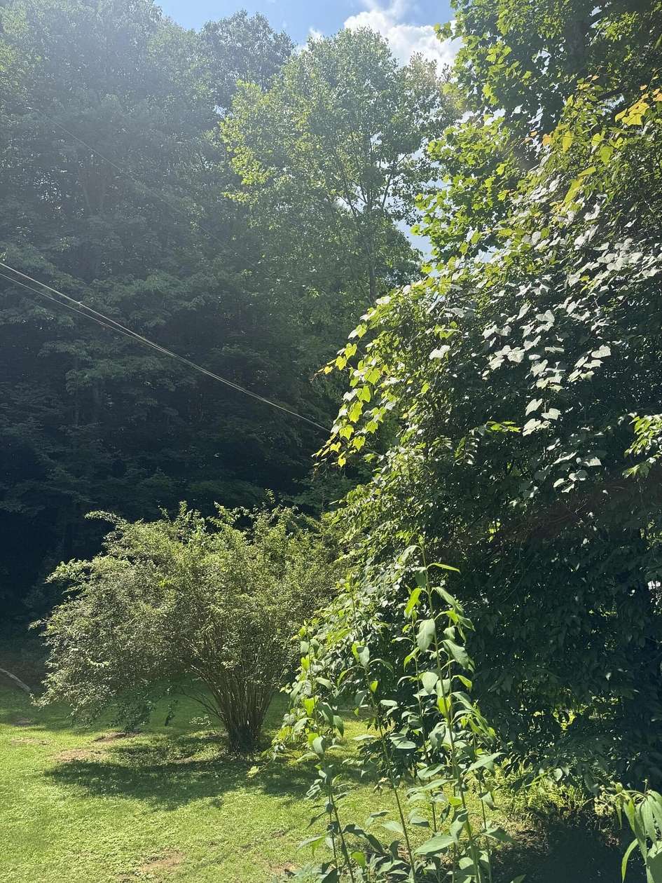 45 Acres of Recreational Land for Sale in Jackson, Kentucky