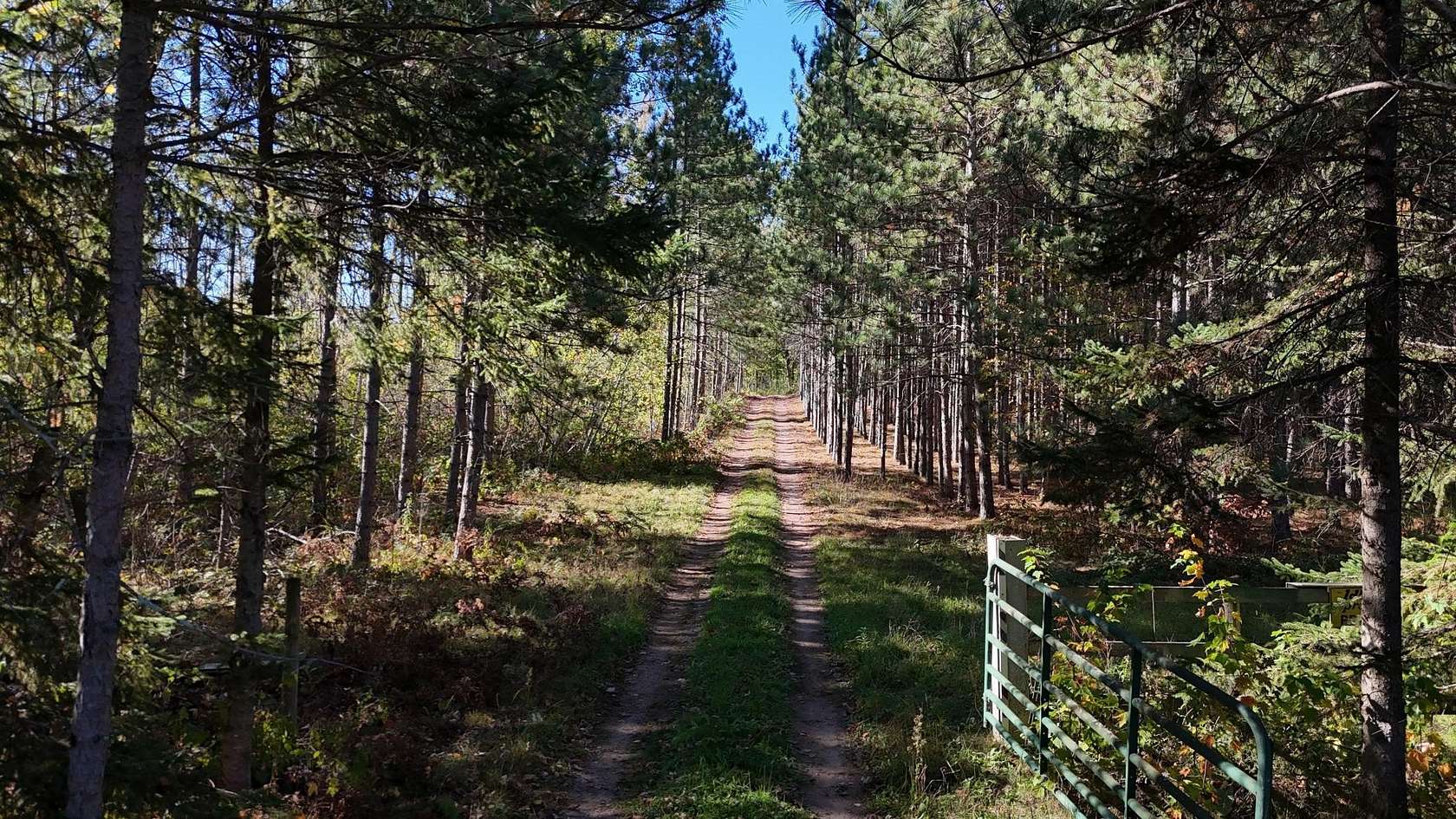 81.9 Acres of Recreational & Residential Land for Sale in Spooner, Wisconsin