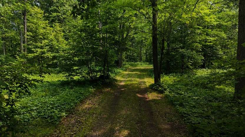 81.9 Acres of Recreational & Residential Land for Sale in Spooner, Wisconsin