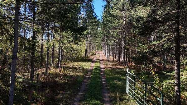 81.9 Acres of Recreational & Residential Land for Sale in Spooner, Wisconsin