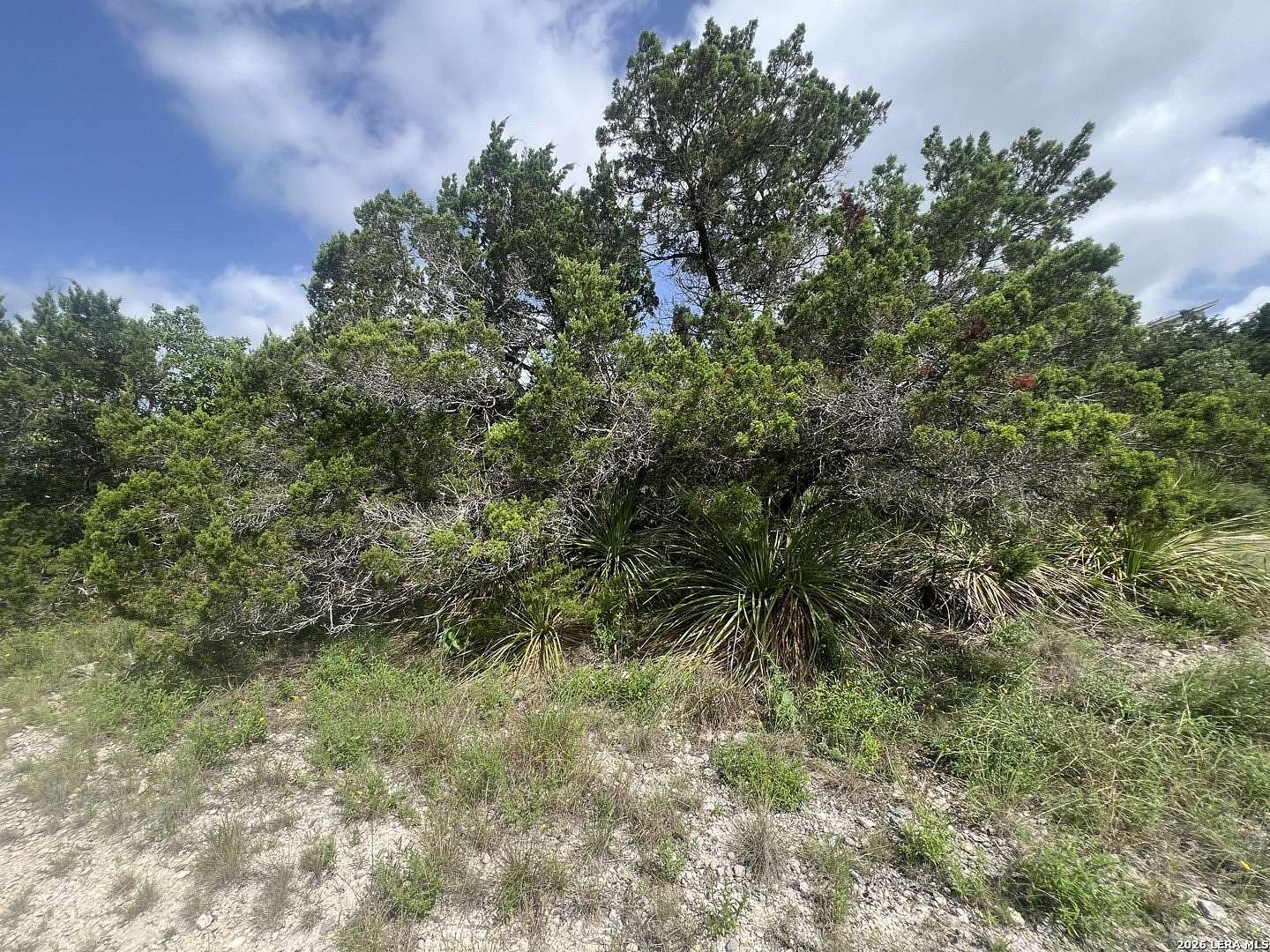 0.12 Acres of Residential Land for Sale in Canyon Lake, Texas