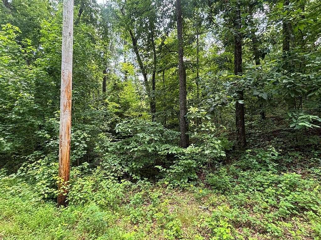 0.47 Acres of Land for Sale in Buchanan, Tennessee