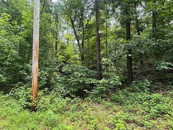 0.47 Acres of Land for Sale in Buchanan, Tennessee