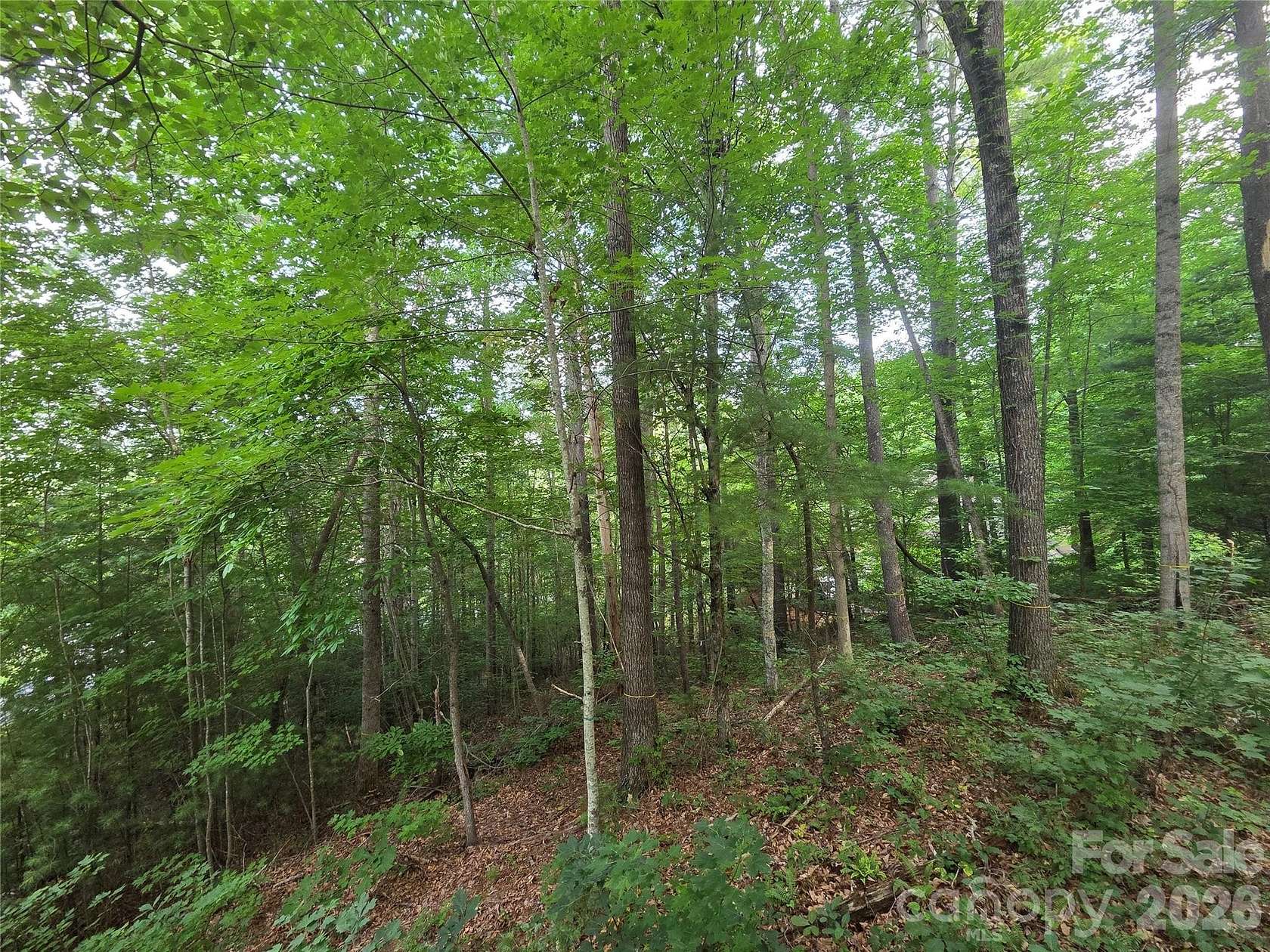 0.62 Acres of Residential Land for Sale in Weaverville, North Carolina