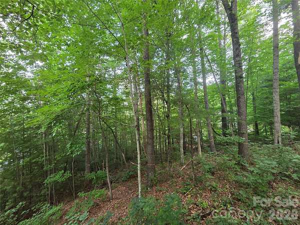 0.62 Acres of Residential Land for Sale in Weaverville, North Carolina