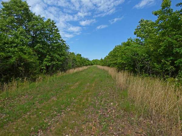 120 Acres of Recreational Land for Sale in Ash Flat, Arkansas