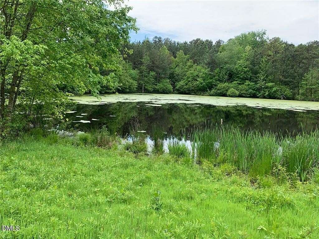 40 Acres of Recreational & Residential Land for Sale in Blanch, North Carolina