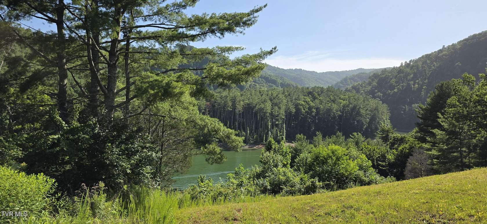 1.54 Acres of Residential Land for Sale in Butler, Tennessee