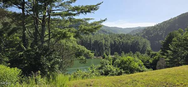 1.54 Acres of Residential Land for Sale in Butler, Tennessee