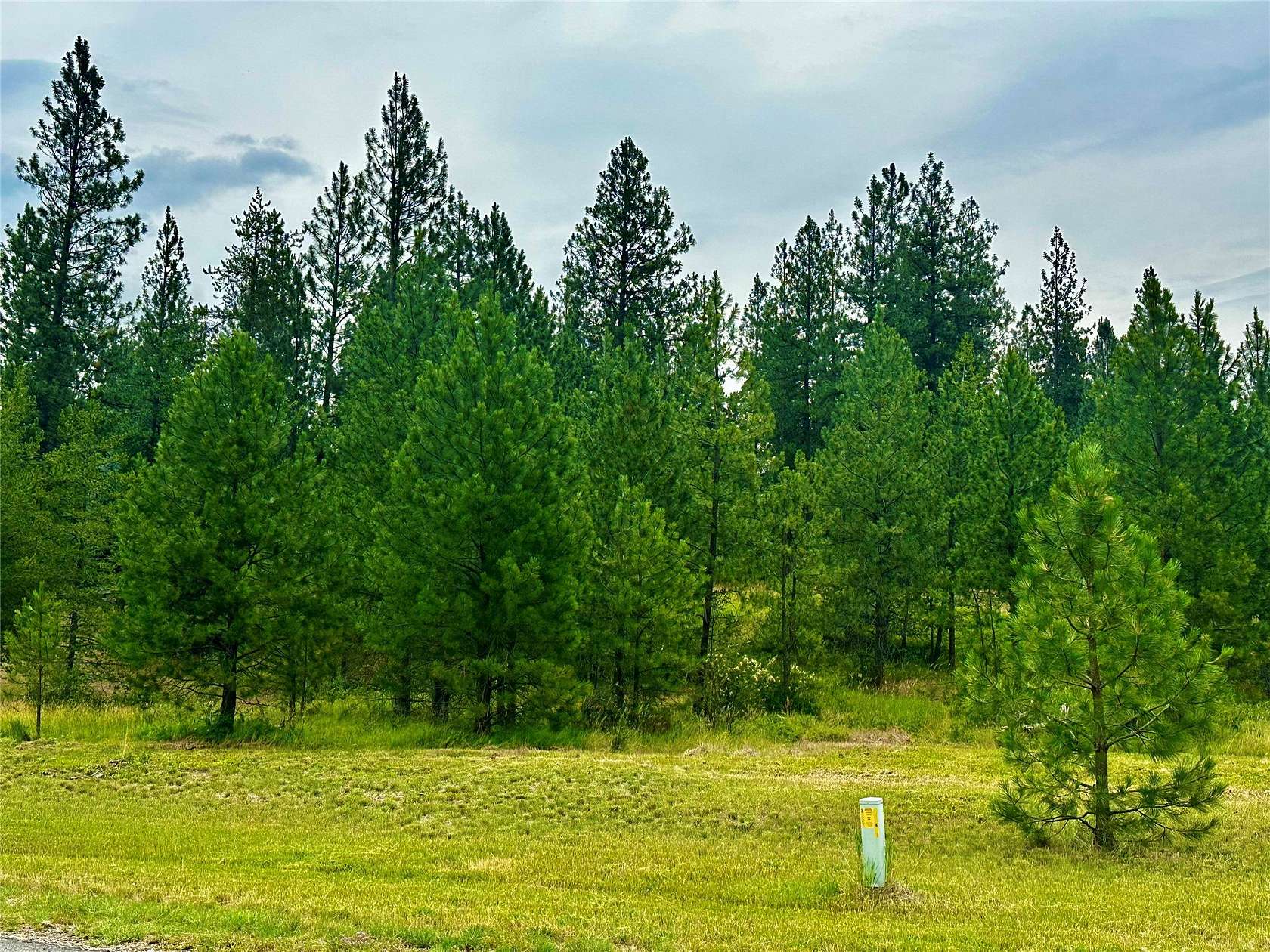 2.34 Acres of Residential Land for Sale in Plains, Montana