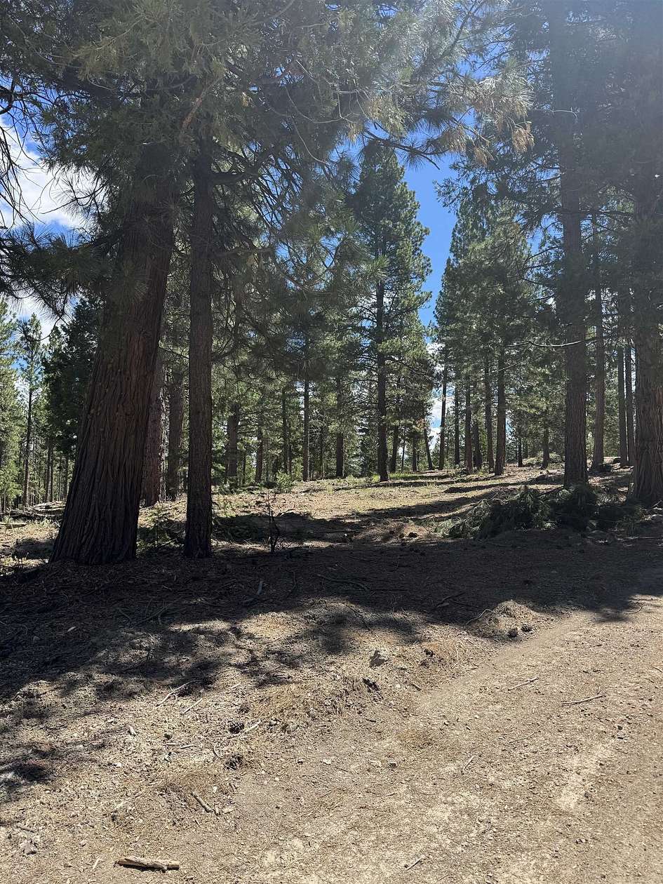 10 Acres of Recreational & Residential Land for Sale in Clio, California