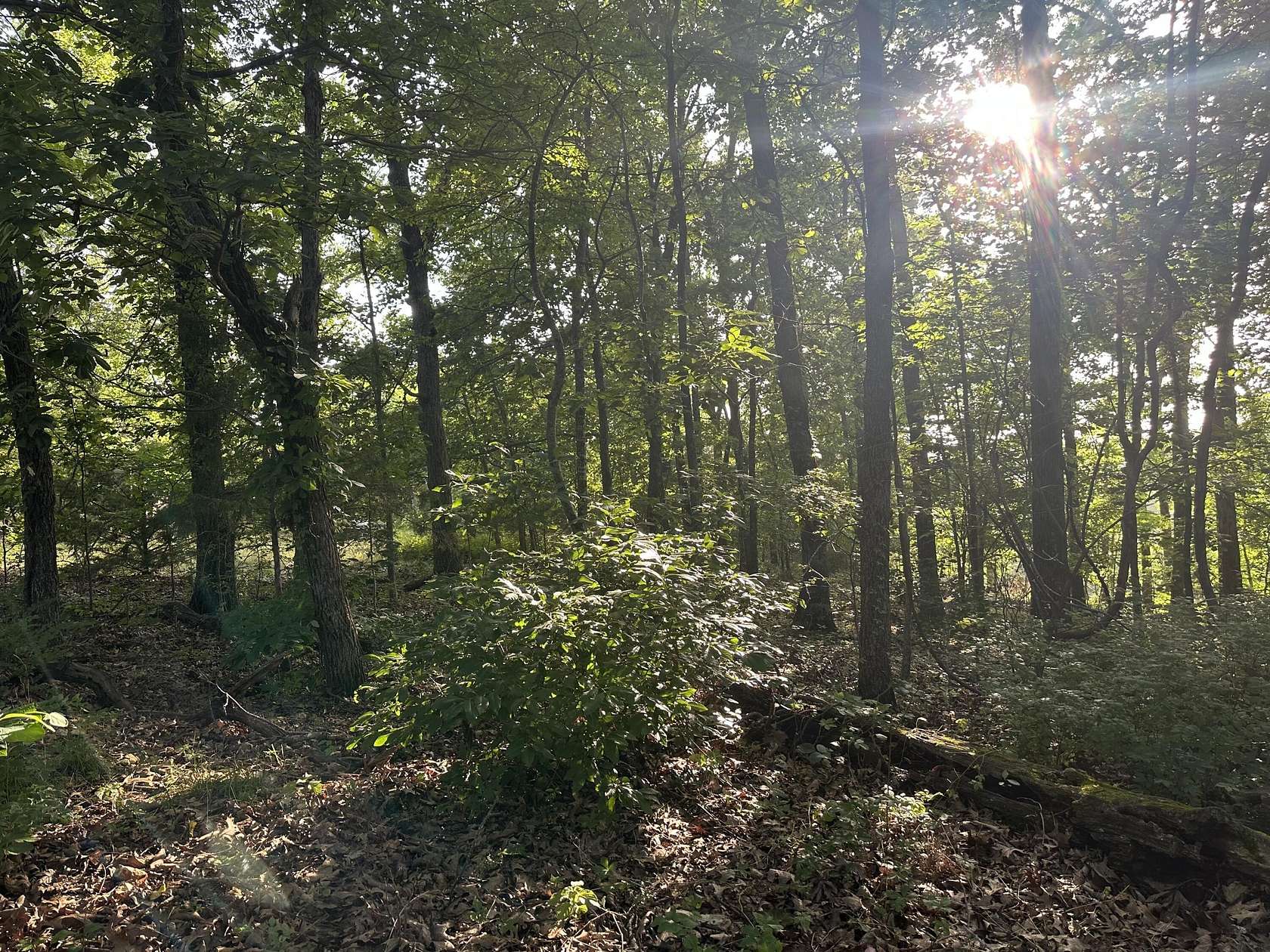 3 Acres of Land for Sale in Ozark, Missouri