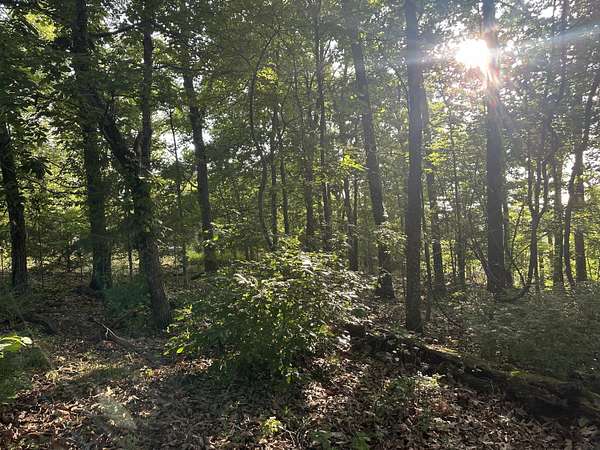 3 Acres of Land for Sale in Ozark, Missouri