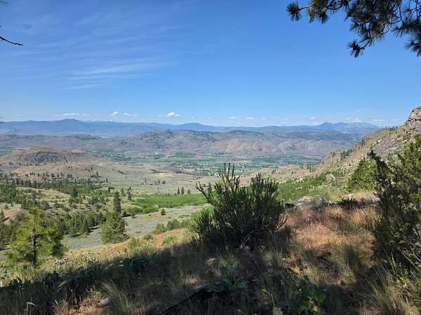 40 Acres of Recreational & Residential Land for Sale in Tonasket, Washington