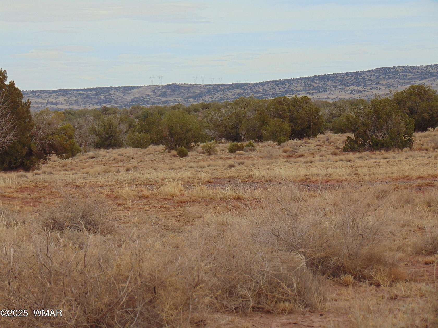 40 Acres of Land for Sale in Concho, Arizona