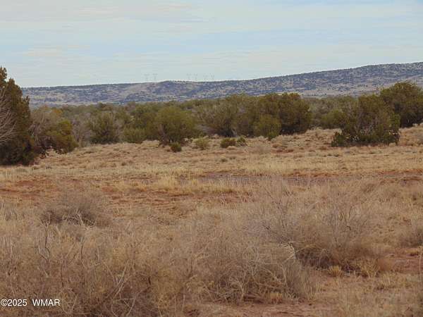 40 Acres of Land for Sale in Concho, Arizona