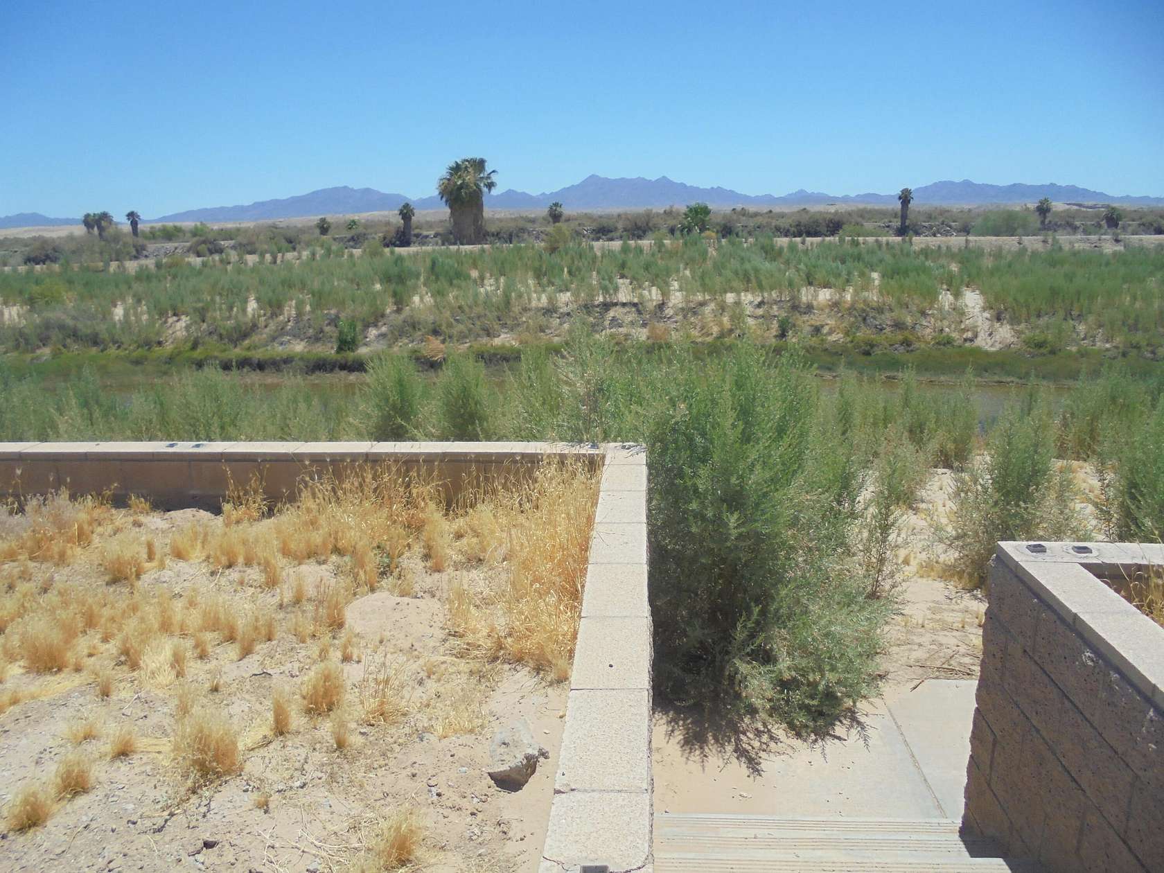 0.37 Acres of Residential Land for Sale in Blythe, California