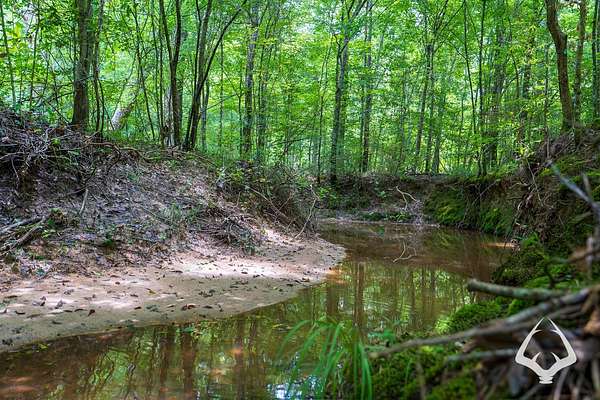 Land for Sale in Jasper, Texas