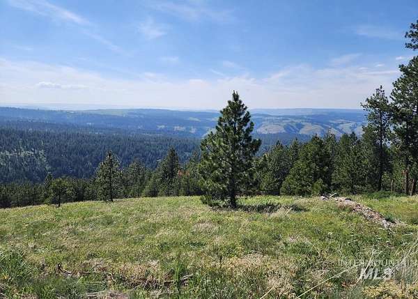 25.9 Acres of Recreational Land for Sale in White Bird, Idaho