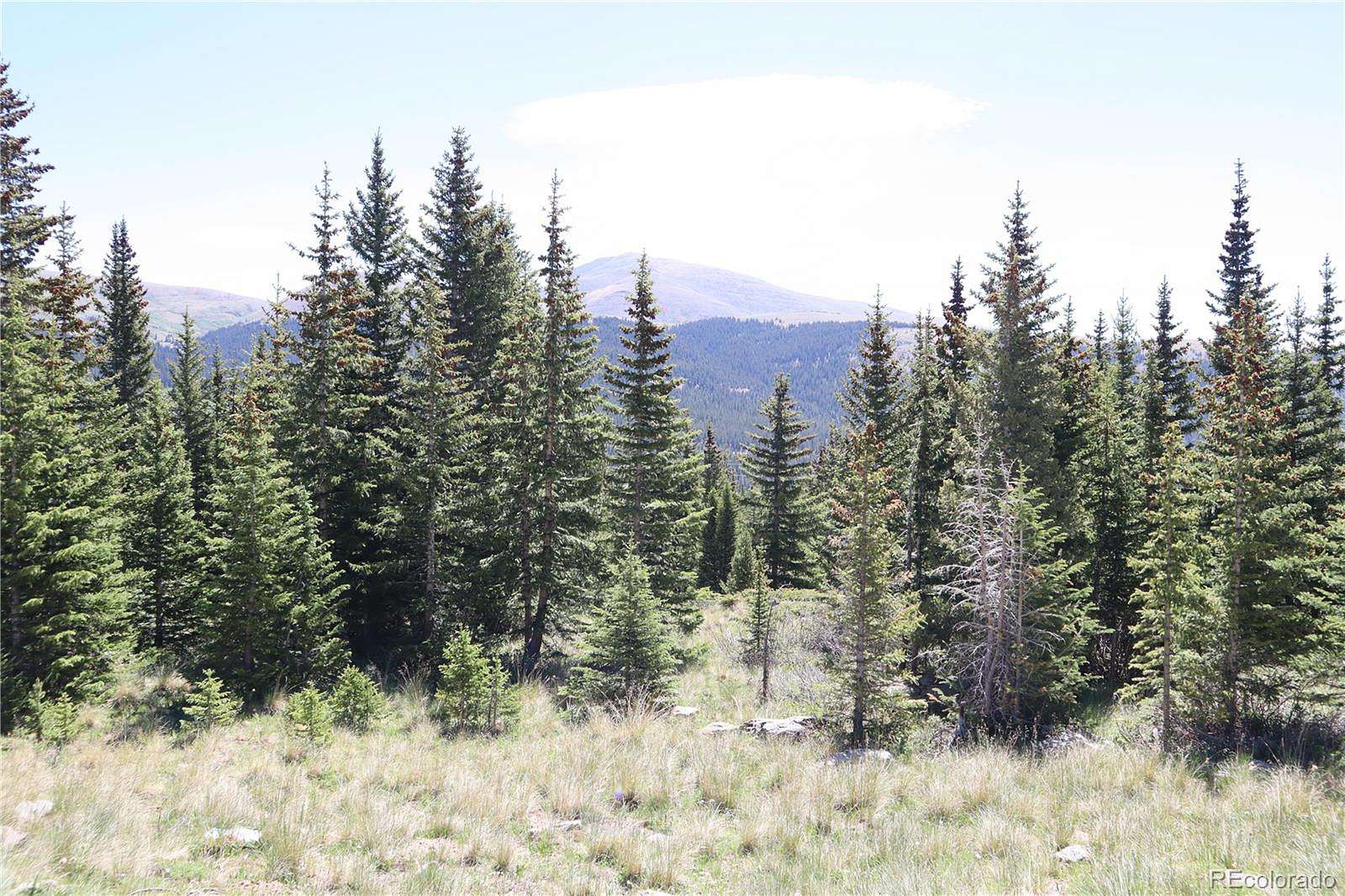1 Acre of Residential Land for Sale in Fairplay, Colorado