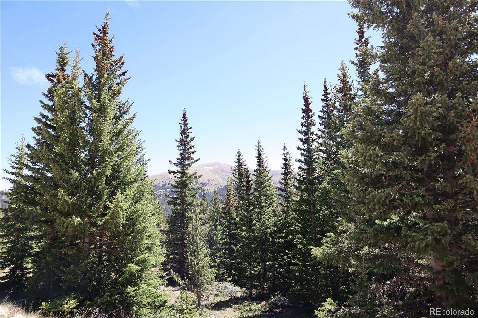 1 Acre of Residential Land for Sale in Fairplay, Colorado
