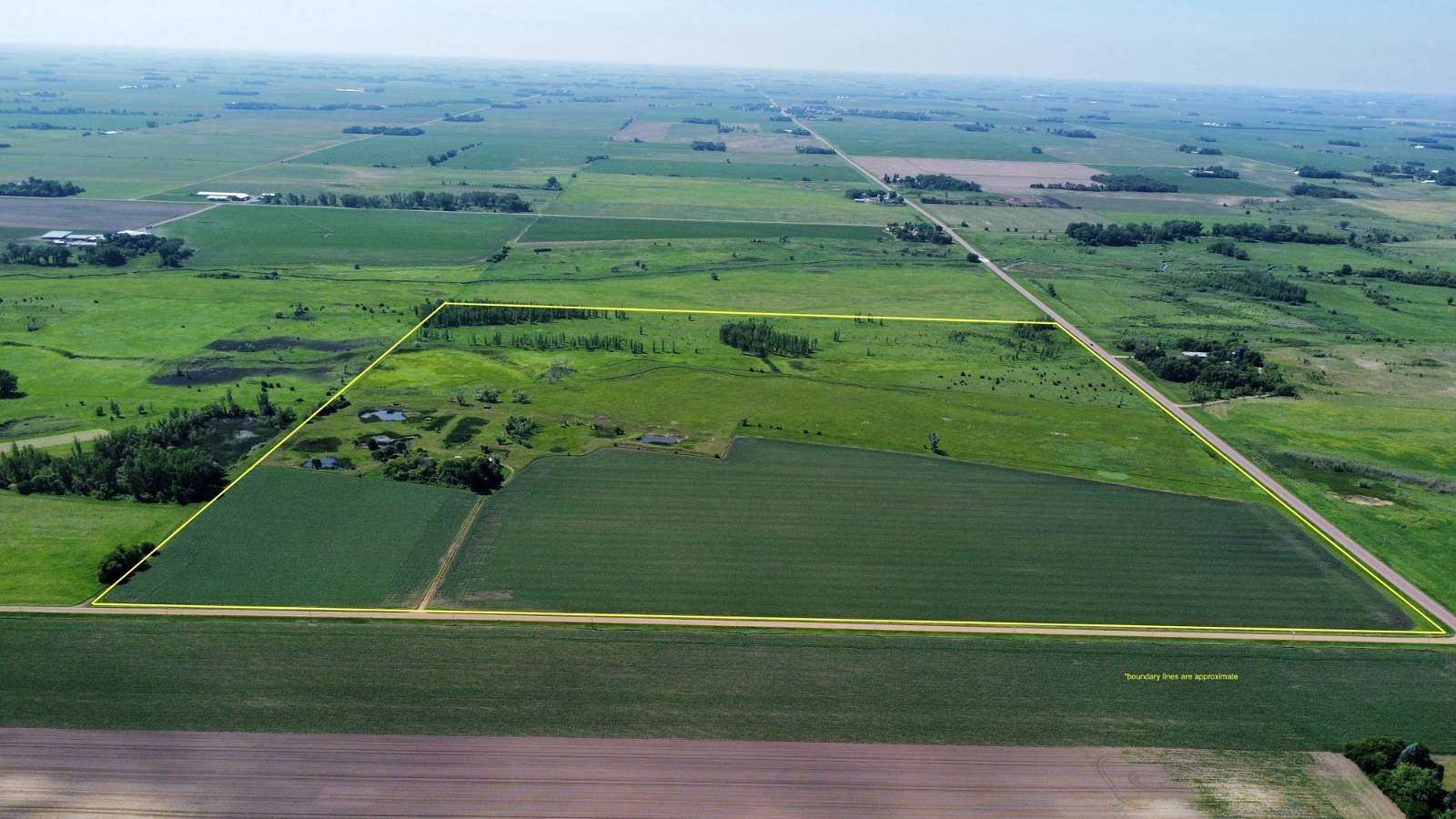 160 Acres of Land for Sale in Comfrey, Minnesota