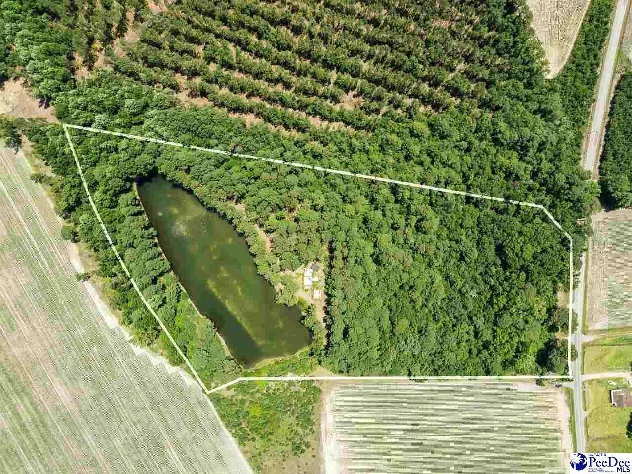 15 Acres of Recreational & Residential Land for Sale in Clio, South Carolina