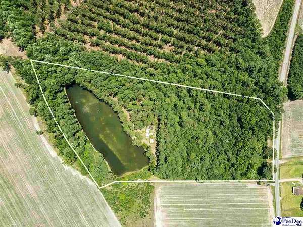 15 Acres of Recreational & Residential Land for Sale in Clio, South Carolina