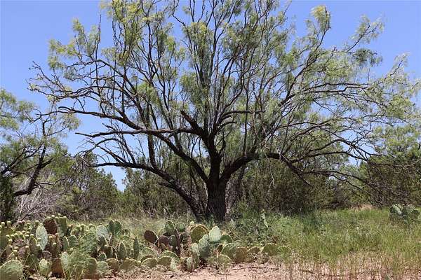 10 Acres of Recreational Land for Sale in Millersview, Texas