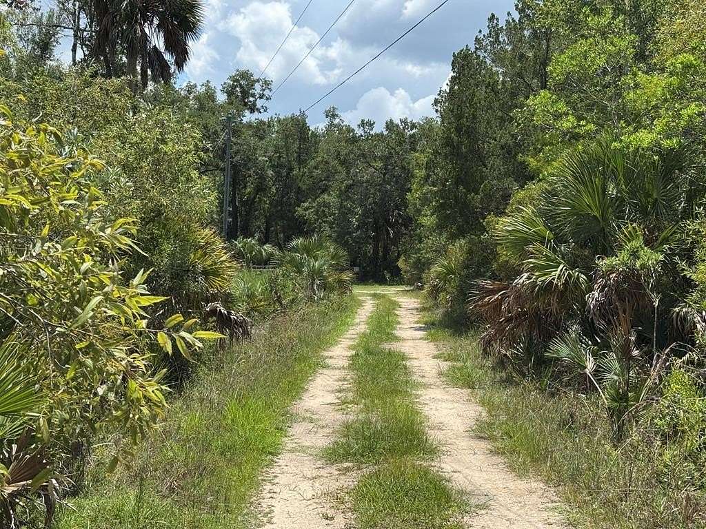 40 Acres of Recreational Land for Sale in Horseshoe Beach, Florida
