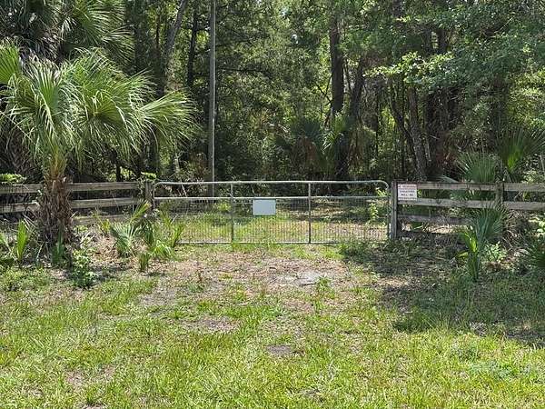40 Acres of Recreational Land for Sale in Horseshoe Beach, Florida