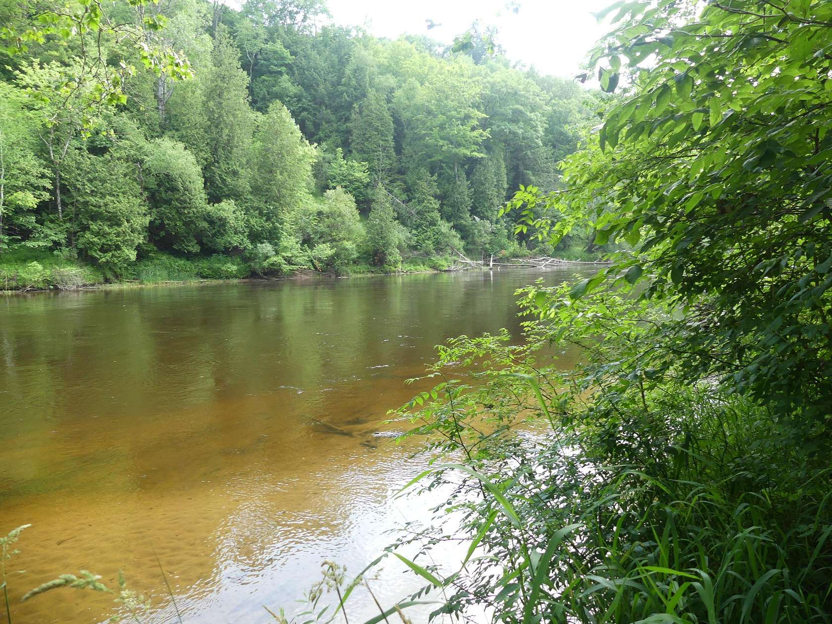 1.63 Acres of Land for Sale in Newaygo, Michigan