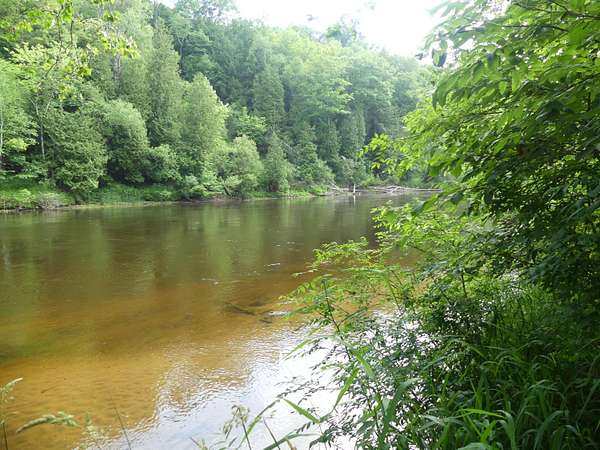 1.63 Acres of Land for Sale in Newaygo, Michigan