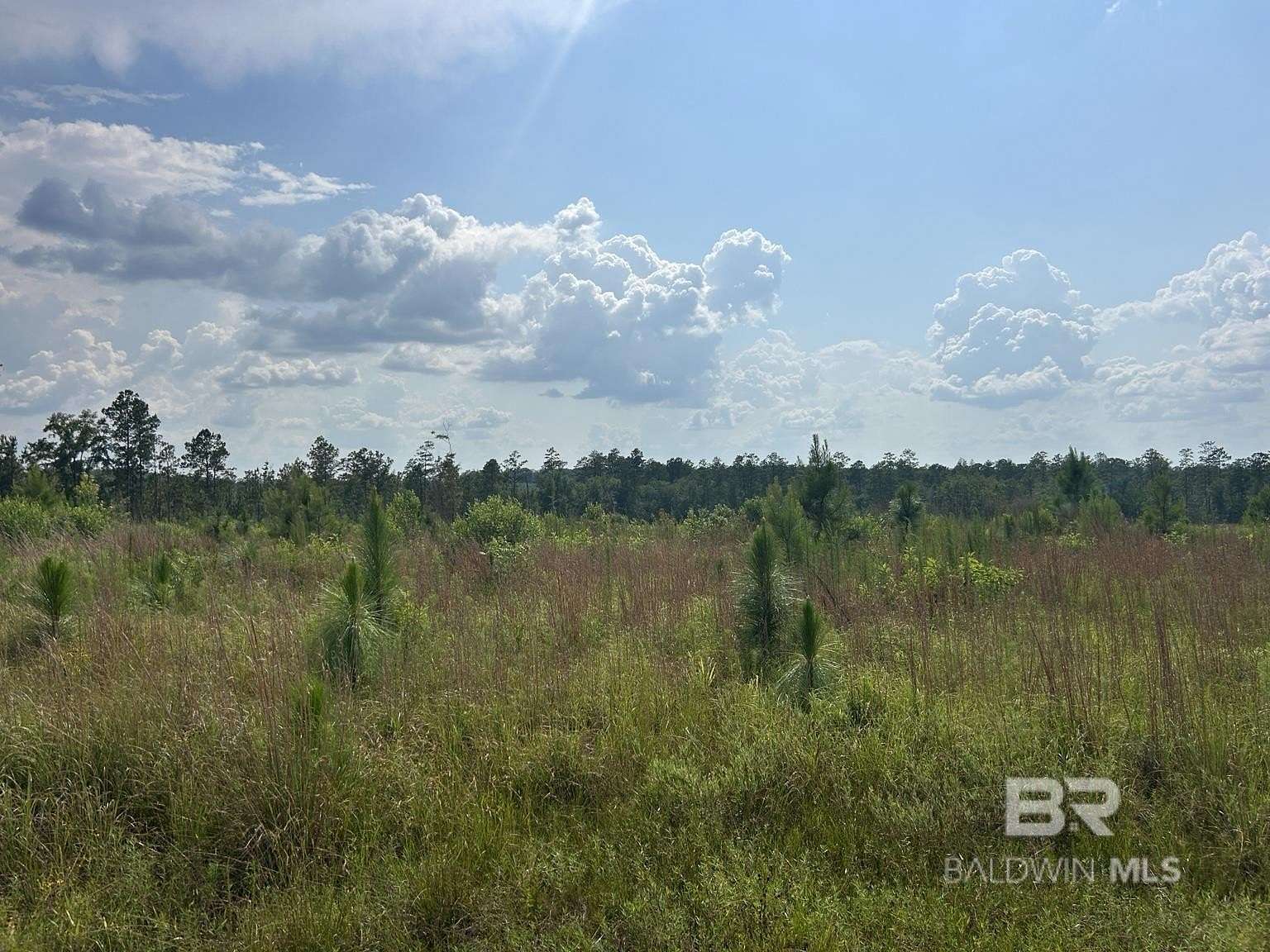 49 Acres of Recreational Land for Sale in Brewton, Alabama