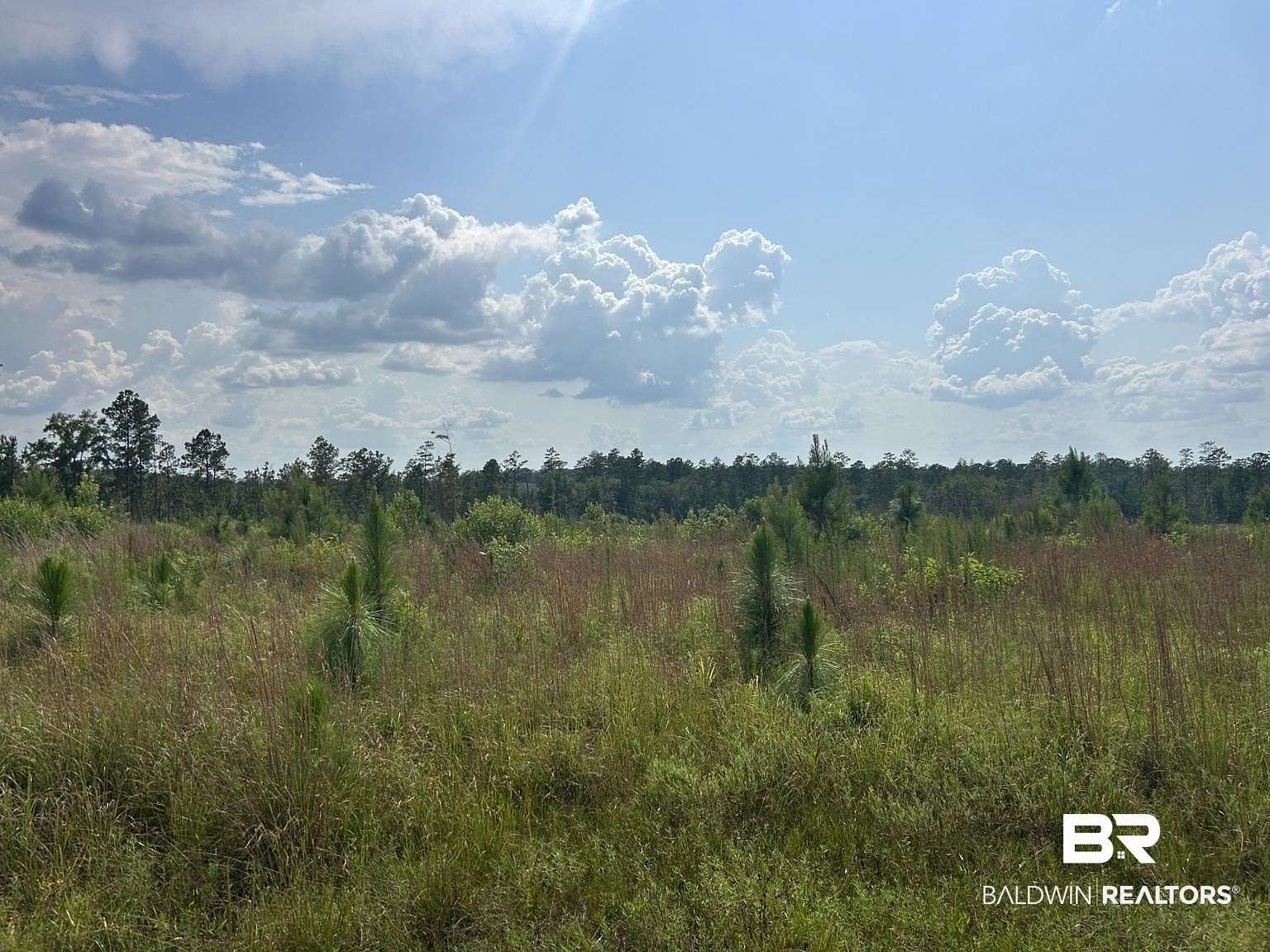 49 Acres of Recreational Land for Sale in Brewton, Alabama