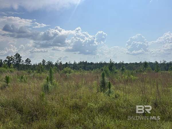 49 Acres of Recreational Land for Sale in Brewton, Alabama