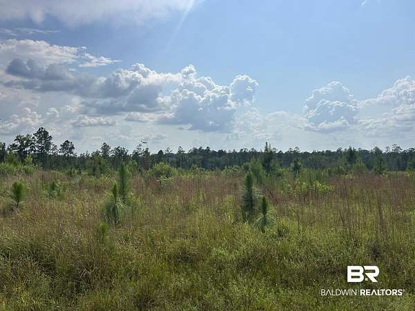 49 Acres of Recreational Land for Sale in Brewton, Alabama