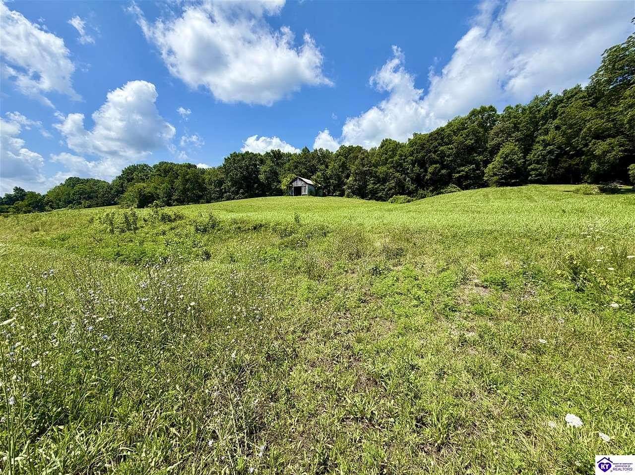 8.18 Acres of Residential Land for Sale in Dunnville, Kentucky