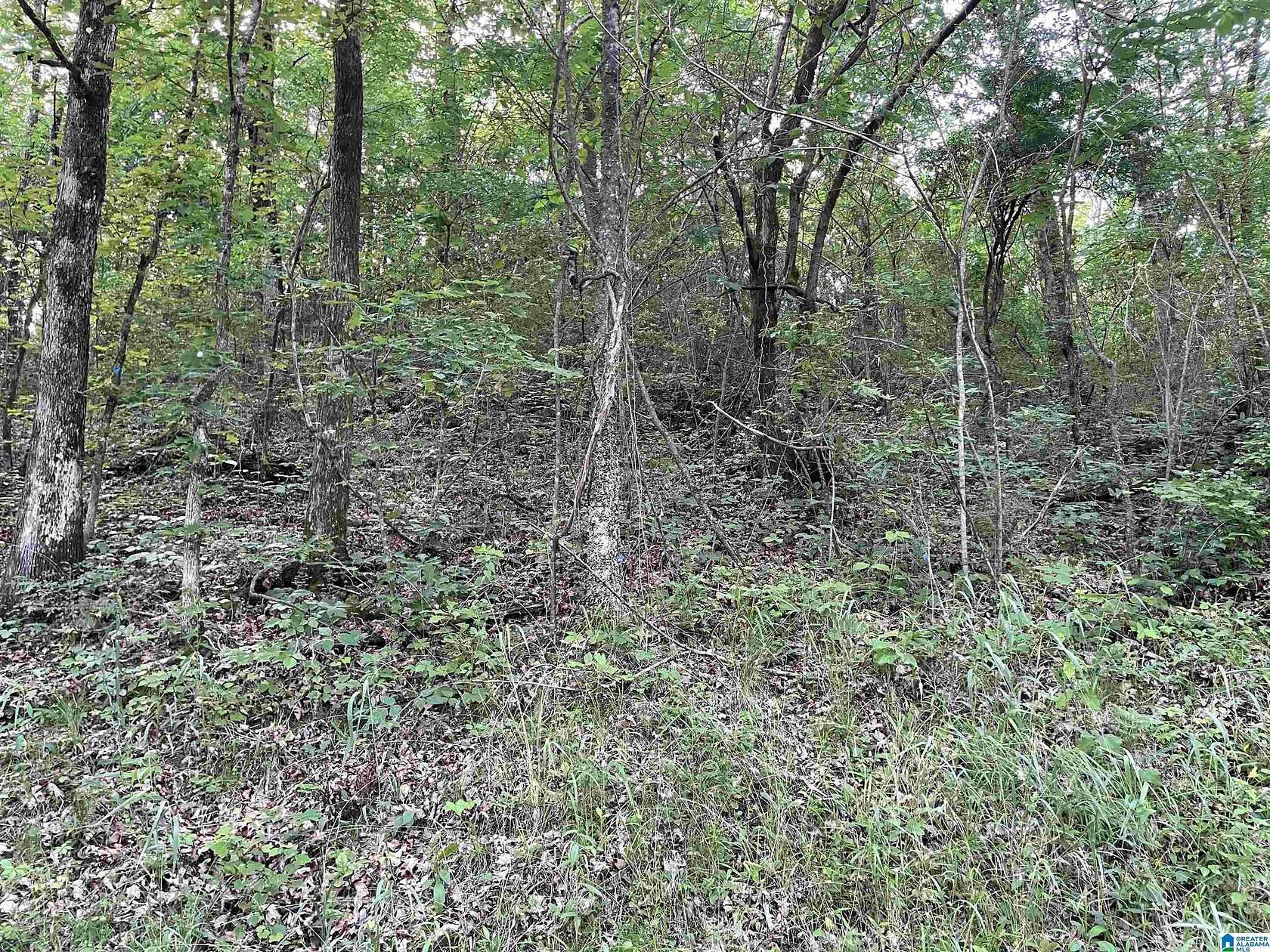 2 Acres of Residential Land for Sale in Gardendale, Alabama